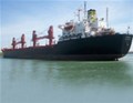 Dry bulk market on retreat mode, while newbuilding ordering activity stalls